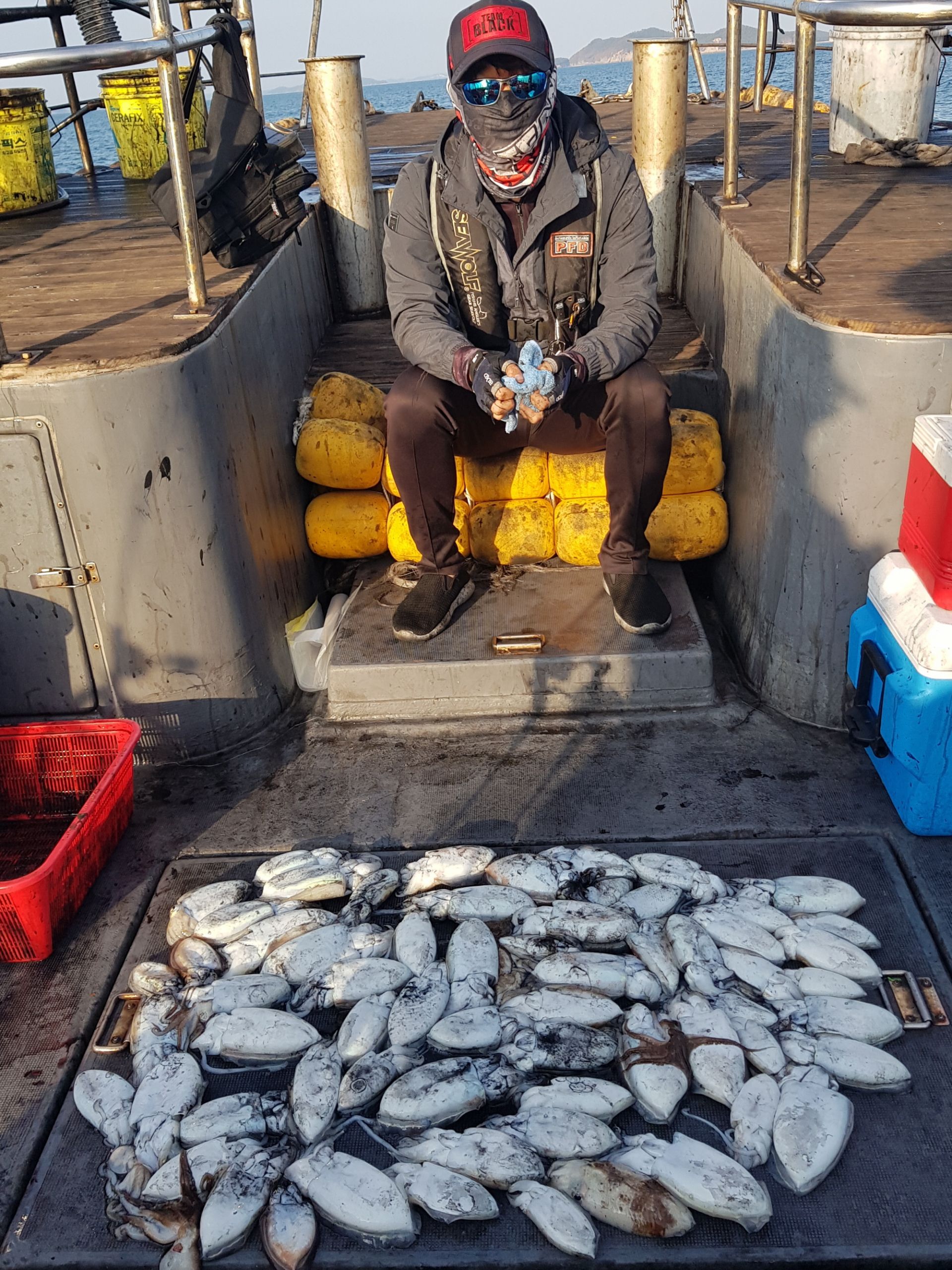 10월22일 대성1호 갑오징어 조황