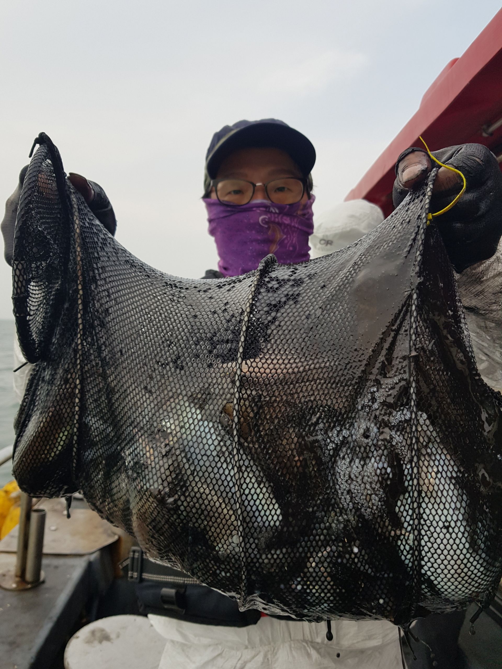 10월25일 대성1호 갑오징어 조황