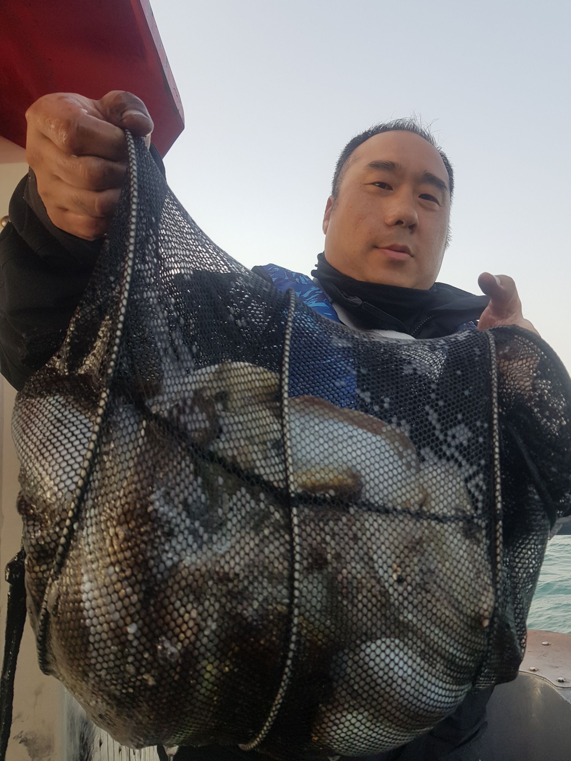 10월31일 대성1호 갑오징어 조황