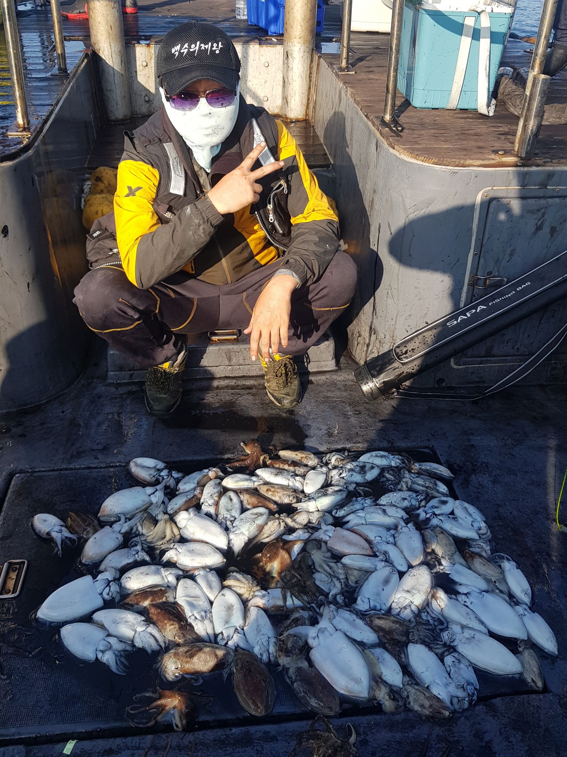 10월24일 대성1호 갑오징어 조황