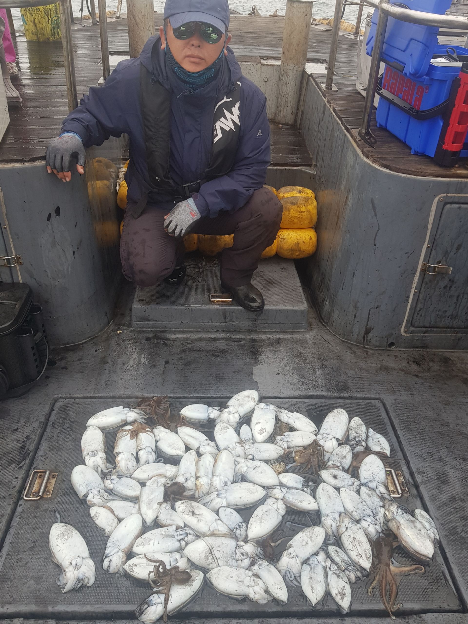 10월23일 대성1호 갑오징어 조황