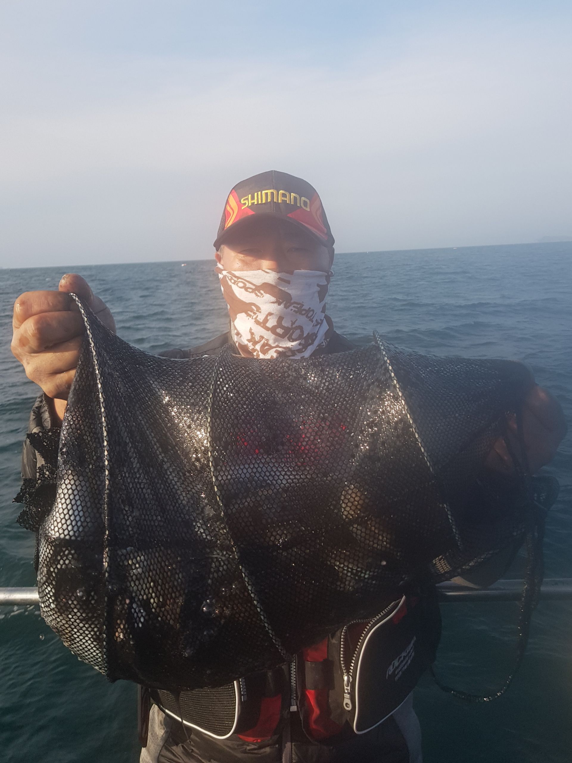 11월3일 대성1호 쭈갑조황