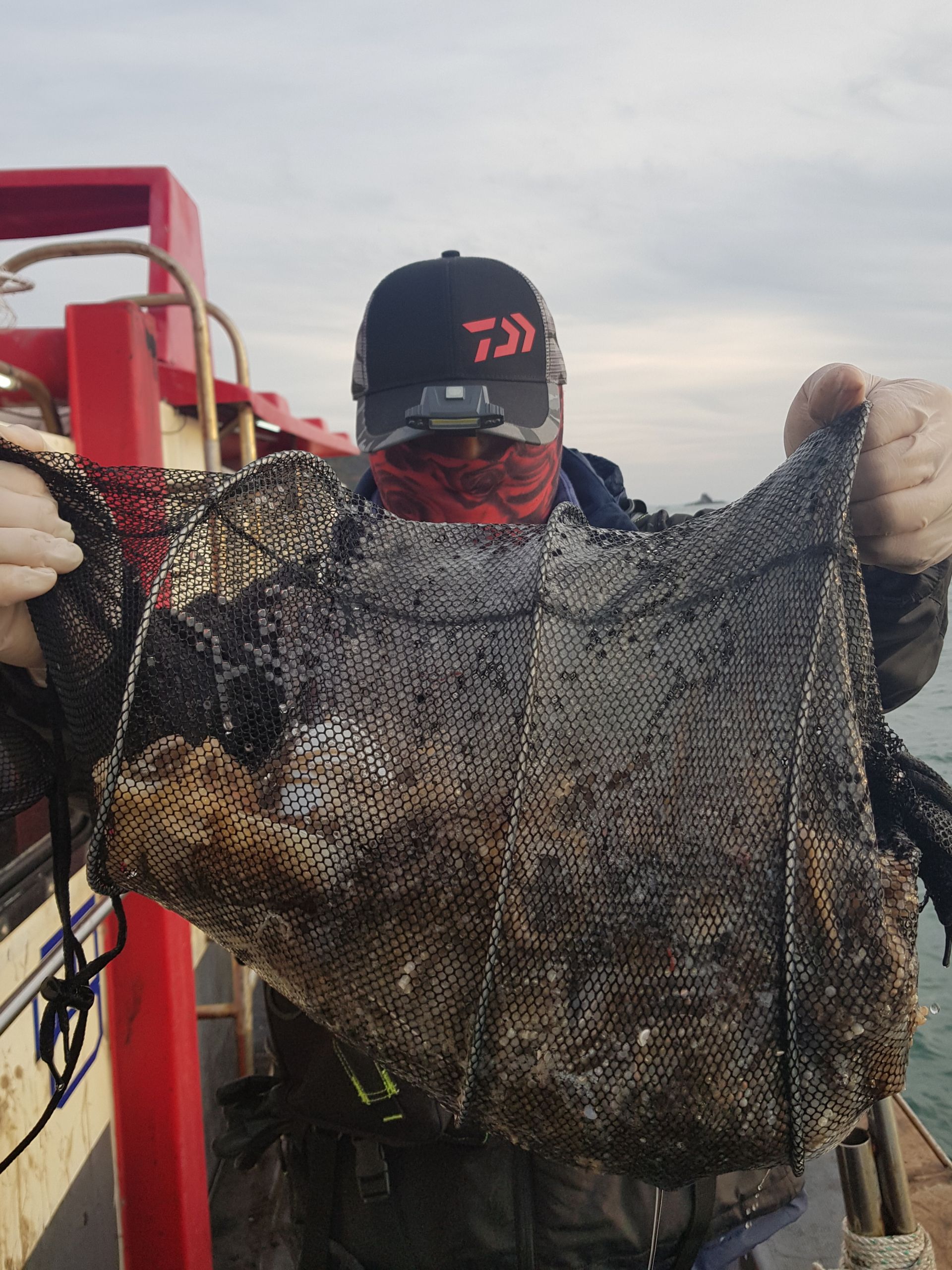 11월6일 대성1호 쭈갑조황