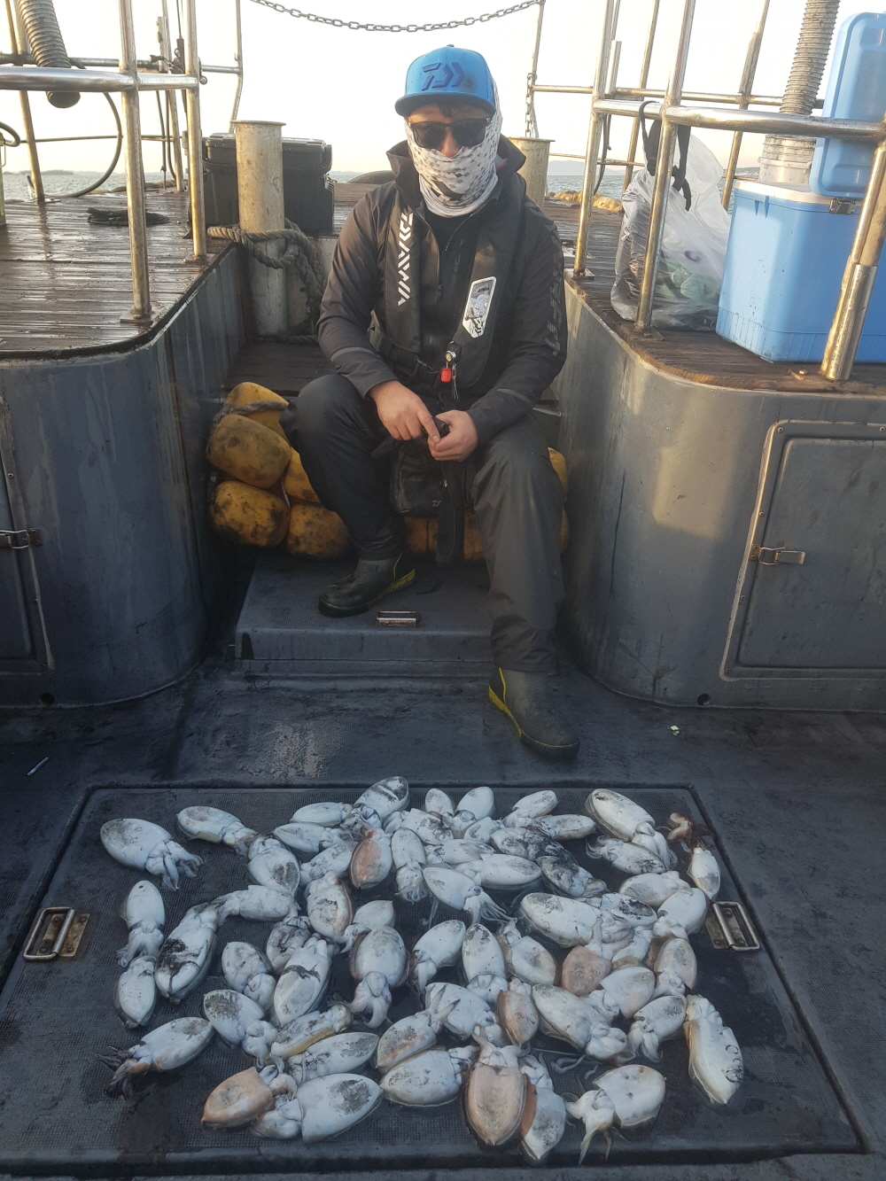 11월1일 대성1호 쭈갑조황