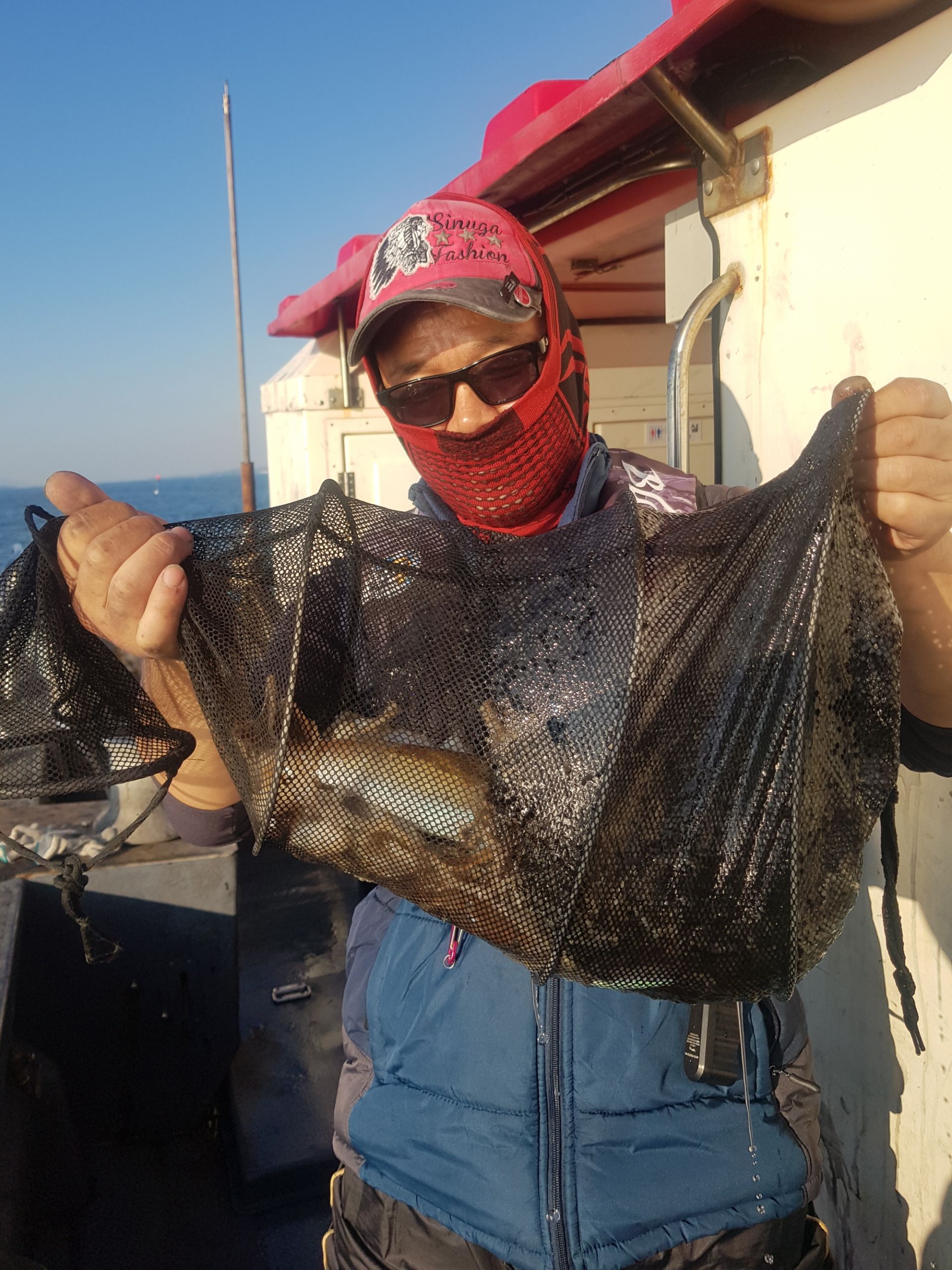 11월9일 대성1호 쭈갑조황