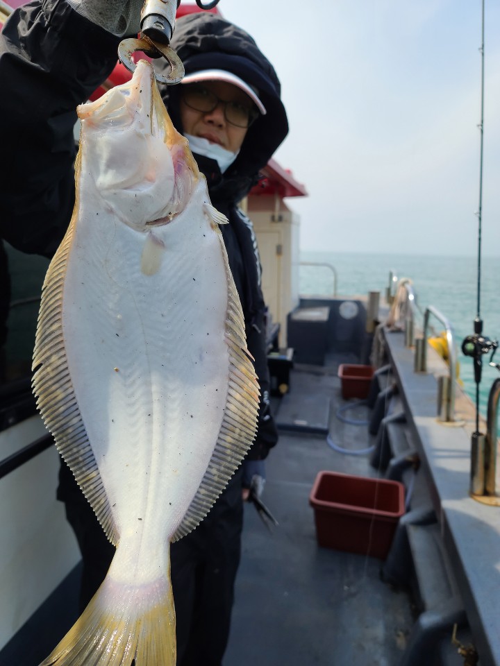 4월15일 대성1호 내만우럭 조황