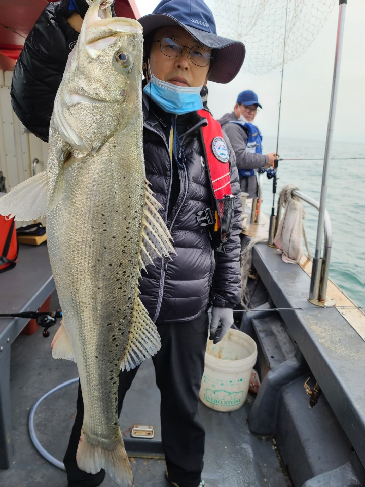 5월2일 대성1호 참돔조황