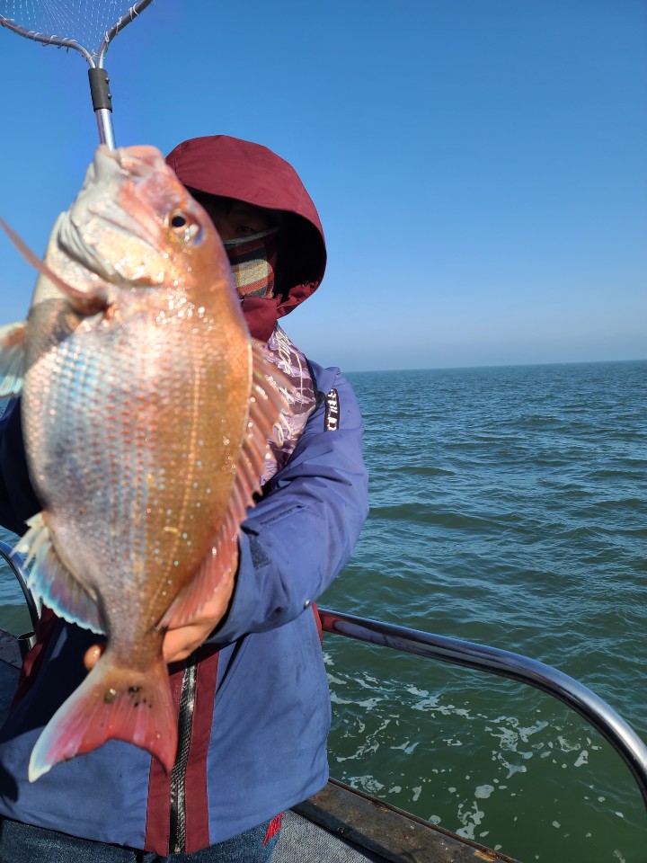 5월6일 대성1호 참돔조황