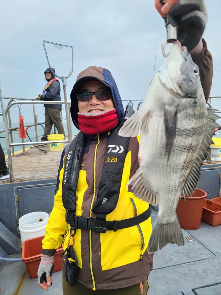 5월5일 대성1호 참돔조황