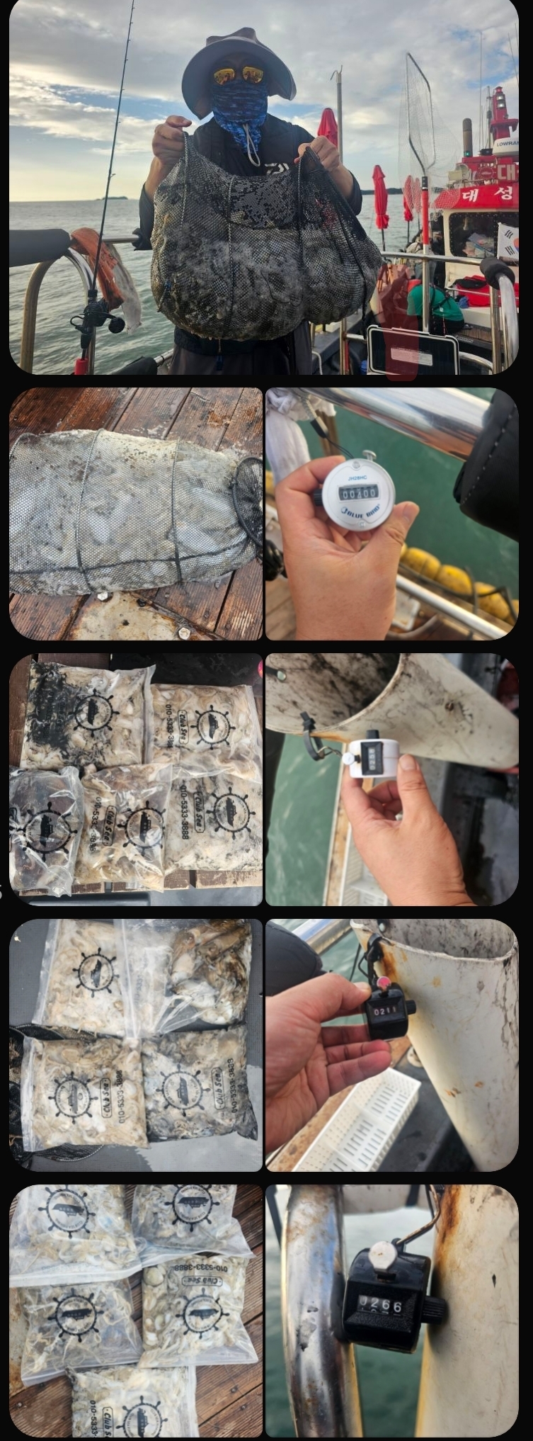 9월14일 대성1호 주꾸미 조황