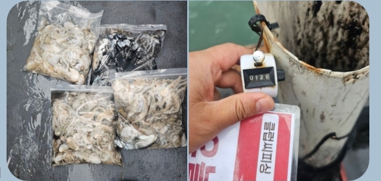 10월7일 대성1호주꾸미조황