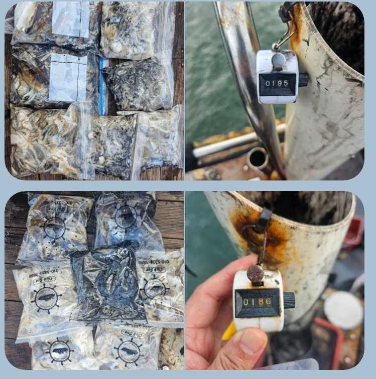 10월5일 대성1호주꾸미조황