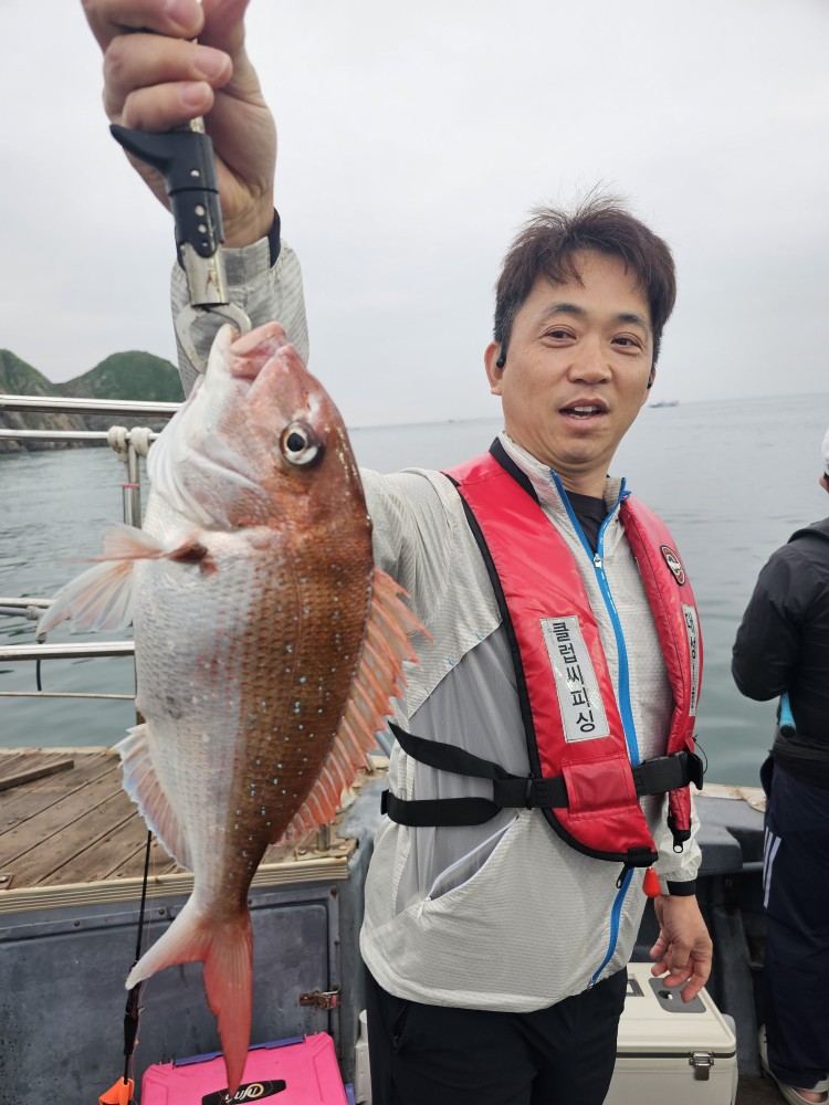 5월23일 대성1호 참돔조황